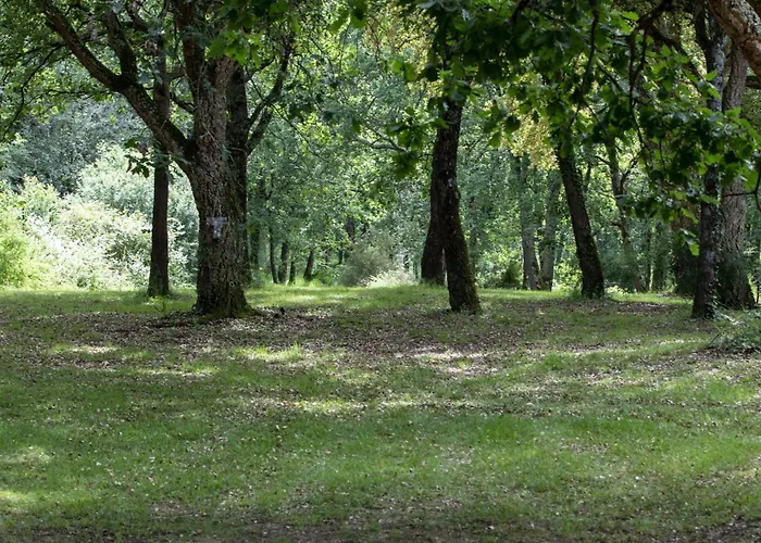 Le Domaine Du Bois *