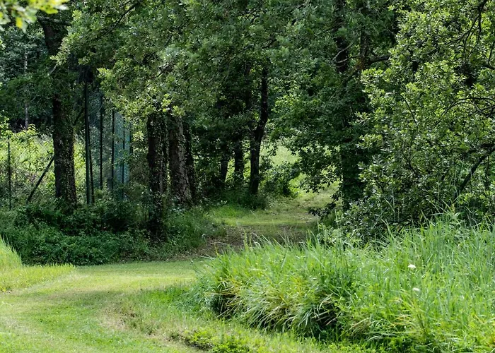 Le Domaine Du Bois Dom wakacyjny *