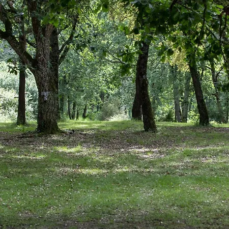 Le Domaine Du Bois *